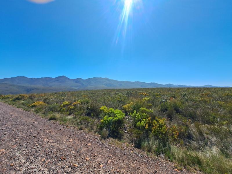 0 Bedroom Property for Sale in Kareedouw Eastern Cape